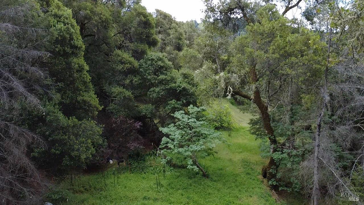3701 Radical Ridge Road Redwood Valley, CA 95470 - Photo 10 of 38 an aerial view of a house with a yard
