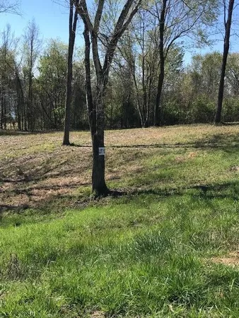 $40,000 | 10 Piney View Drive, Spring City, TN 37381