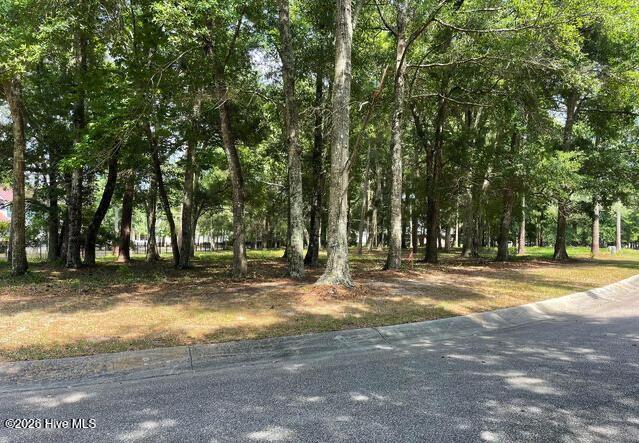1254 Harbour Gate S Southwest Calabash, NC 28467 - Photo 2 of 5 Lot 31-1254 Harbour Gate South SW