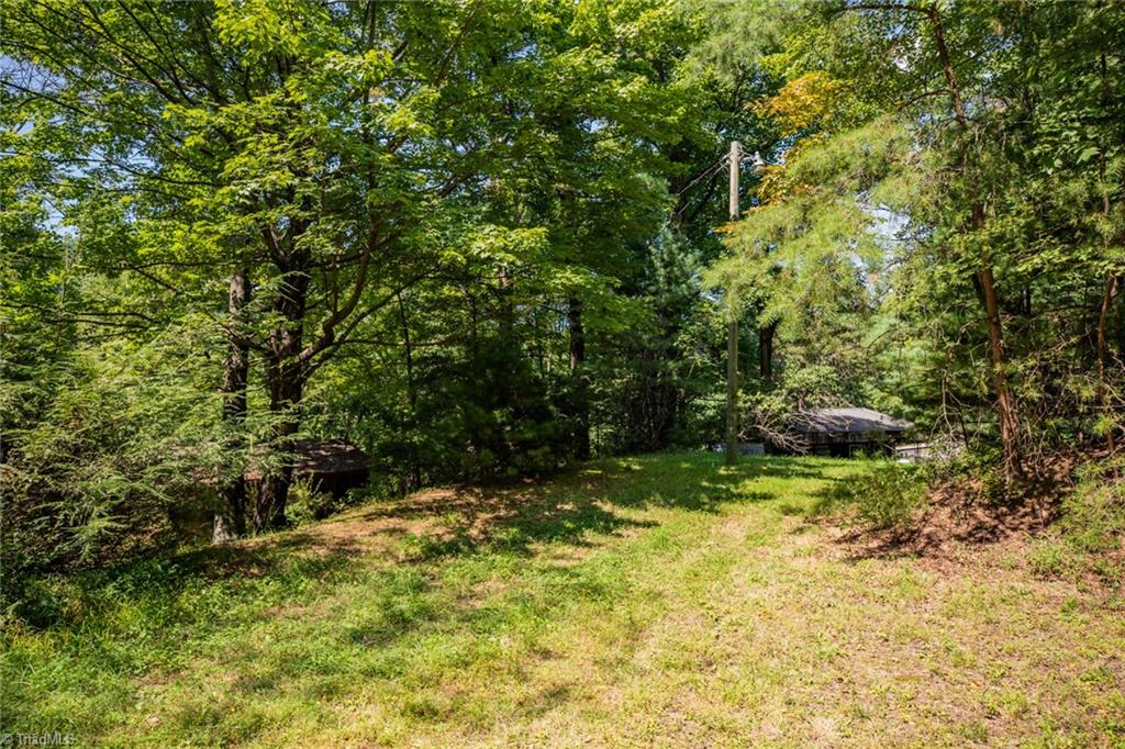 4970-4972 Big Ivy Road Purlear, NC 28665 - Photo 4 of 21 So much flat usable space. Good option for camper.