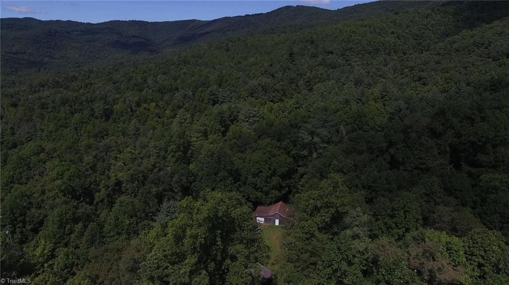 4970-4972 Big Ivy Road Purlear, NC 28665 - Photo 7 of 21