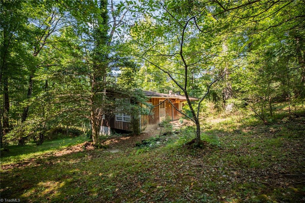 4970-4972 Big Ivy Road Purlear, NC 28665 - Photo 9 of 21 4970 Big Ivy Rd - House on 2.8 acre tract