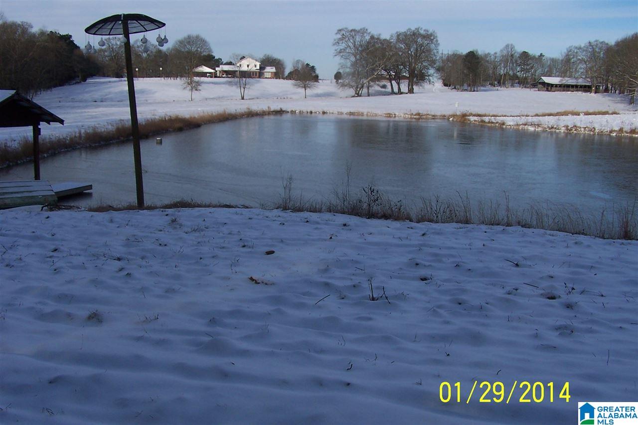 3258 Youngs Mill Road Lineville, AL 36266 - Photo 42 of 50