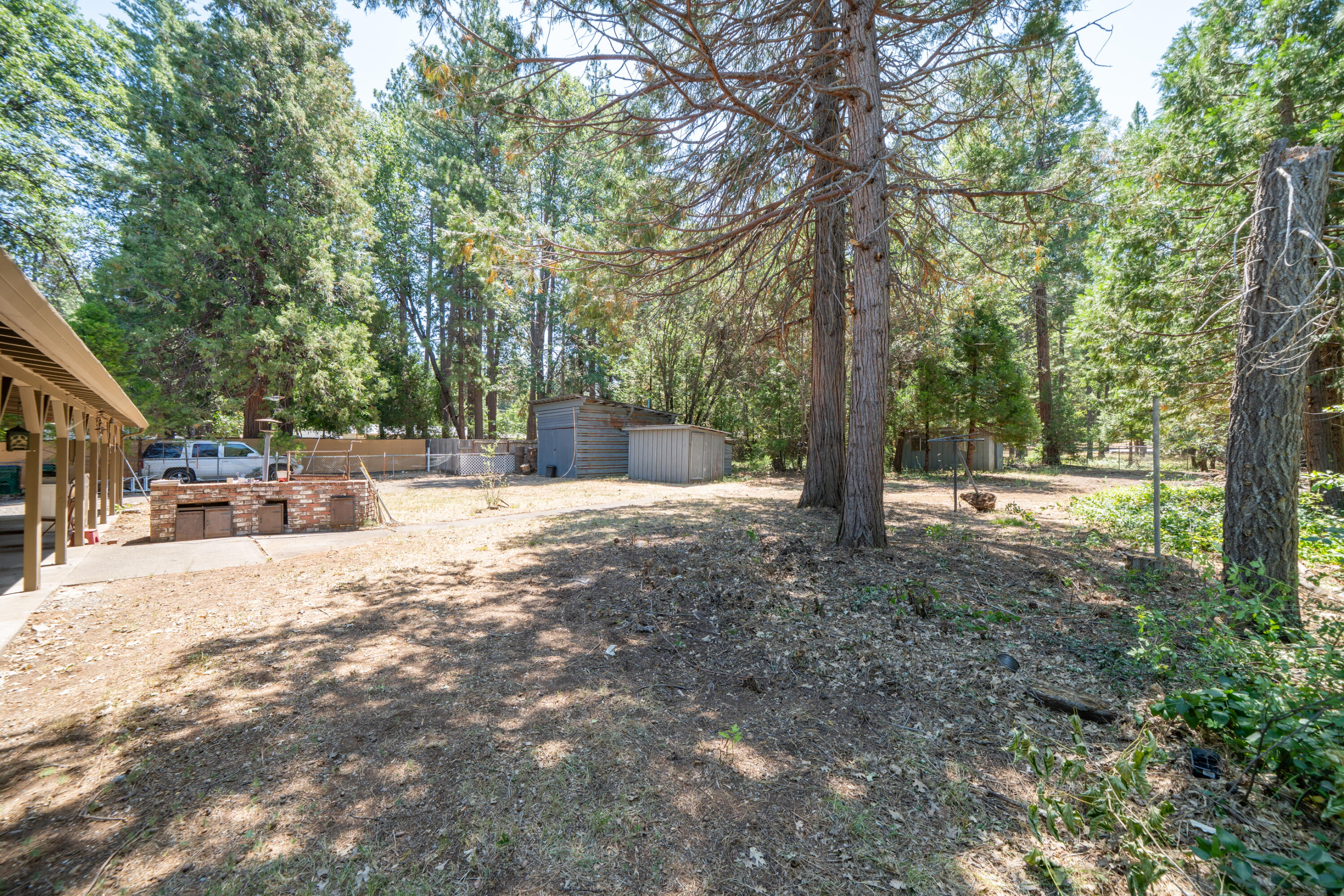 37347 Cypress Avenue Burney, CA 96013 - Photo 36 of 62 a outdoor space with lots of trees and trees