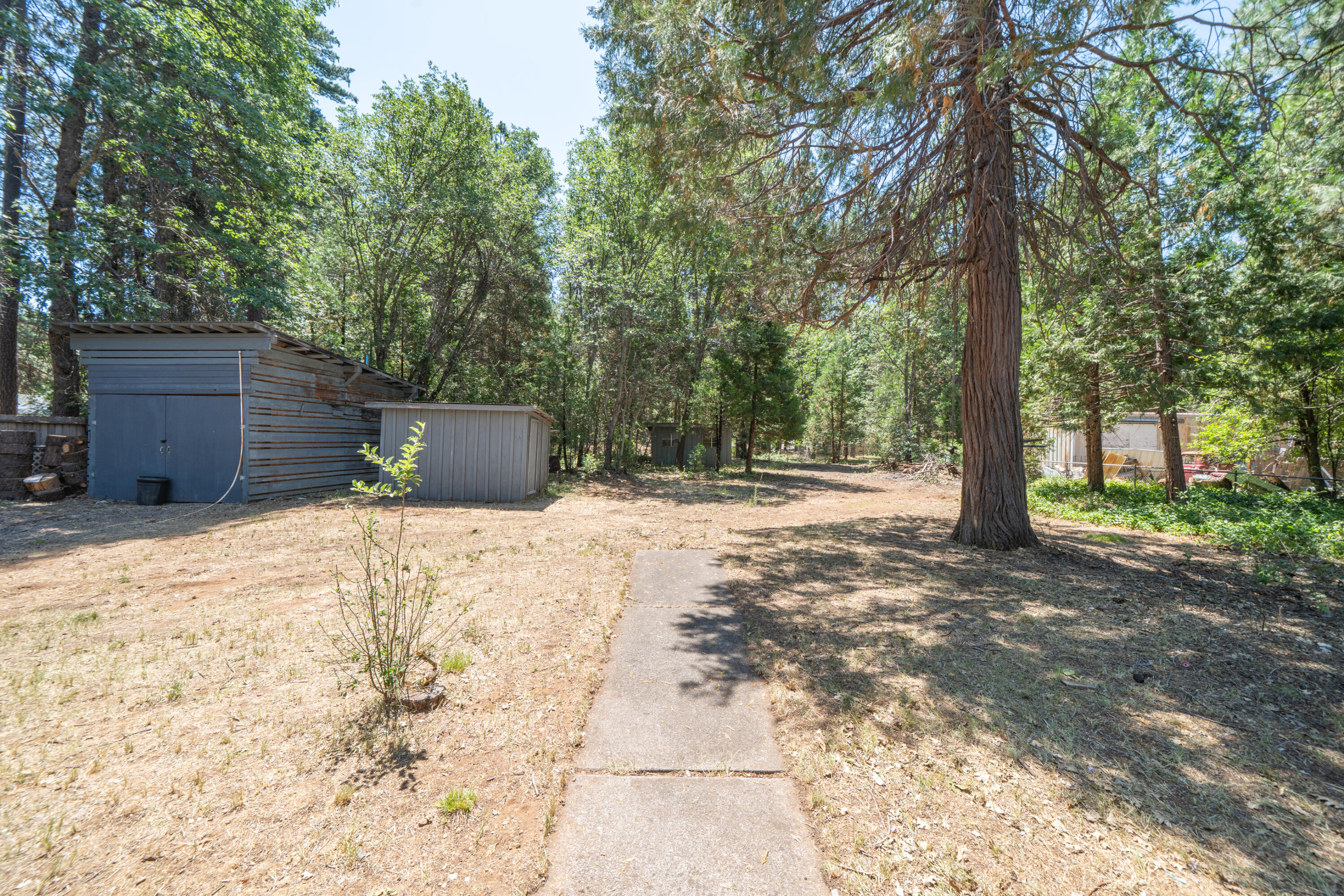 37347 Cypress Avenue Burney, CA 96013 - Photo 41 of 62 a view of a backyard