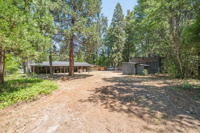 a view of a backyard