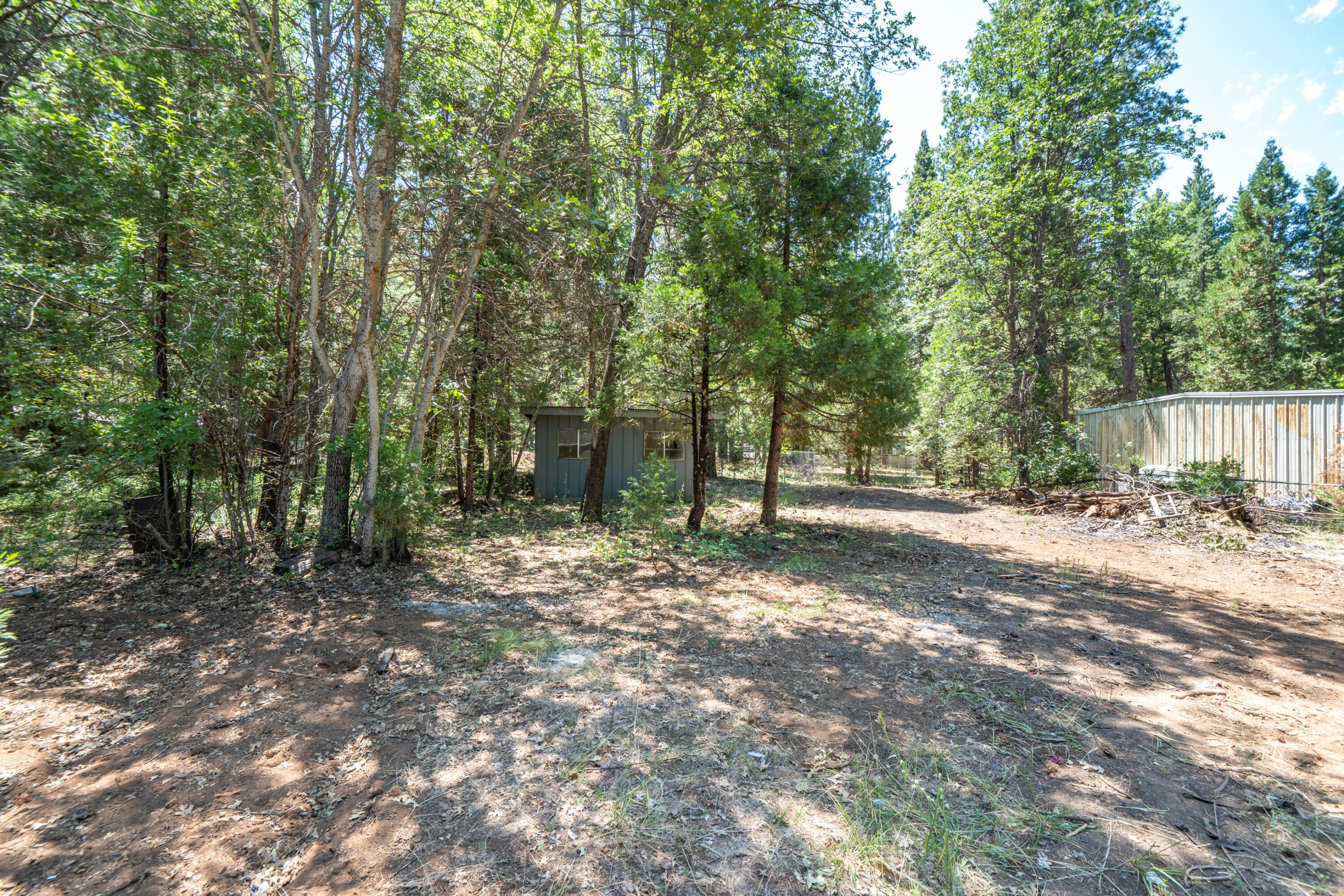 37347 Cypress Avenue Burney, CA 96013 - Photo 49 of 62 a view of a forest with trees in the background