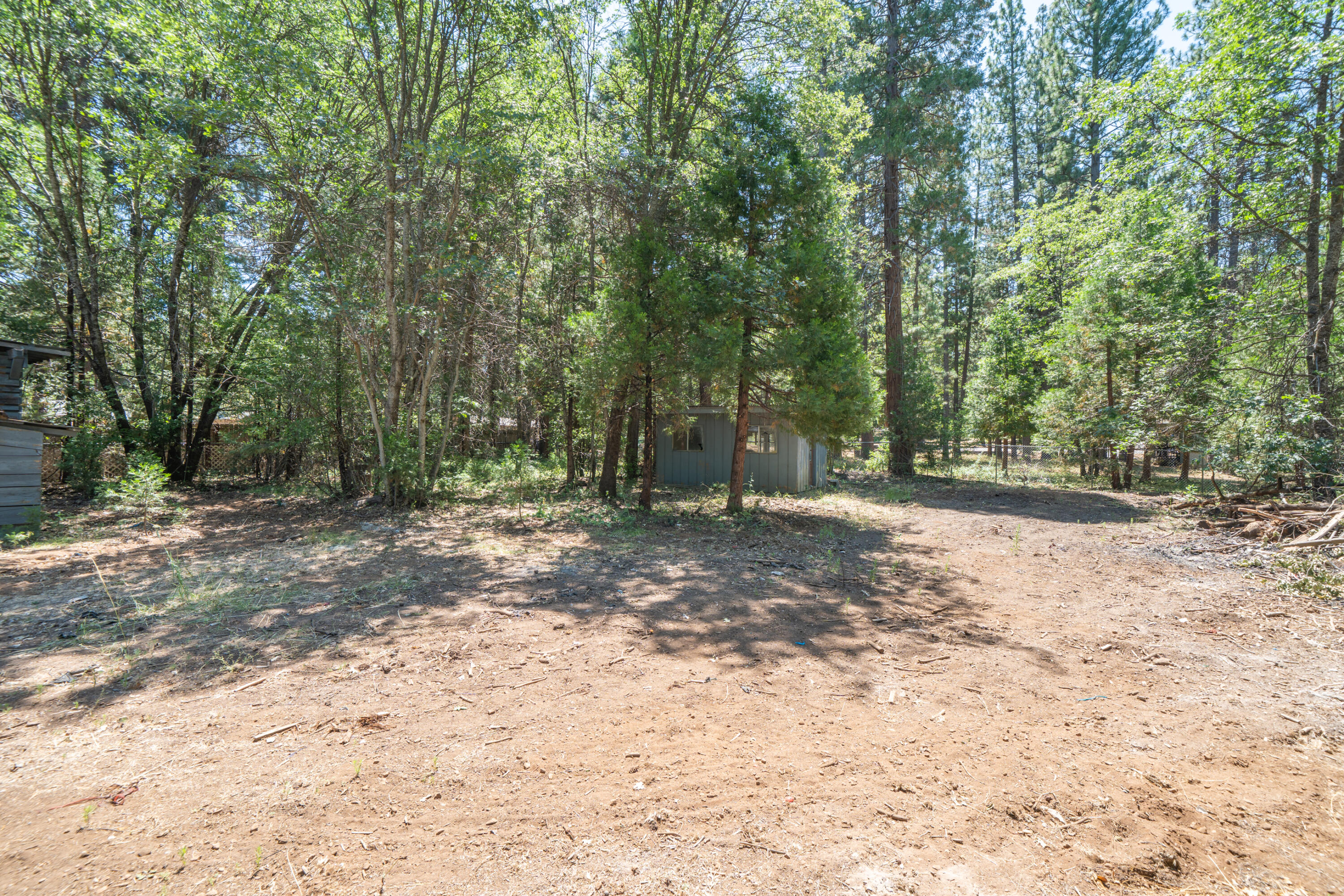 37347 Cypress Avenue Burney, CA 96013 - Photo 50 of 62 a view of a forest with trees in the background