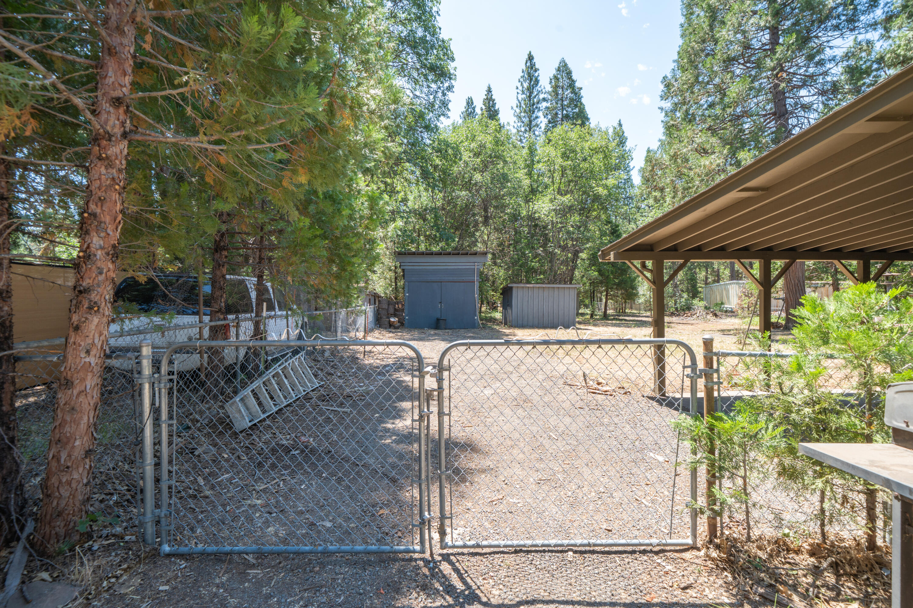 37347 Cypress Avenue Burney, CA 96013 - Photo 53 of 62 a view of a patio with table and chairs potted plants and large tree