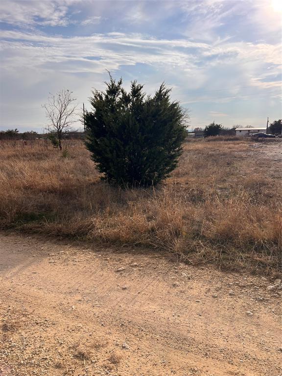 Tbd Edinburgh Lane Cresson, TX 76035 - Photo 4 of 4