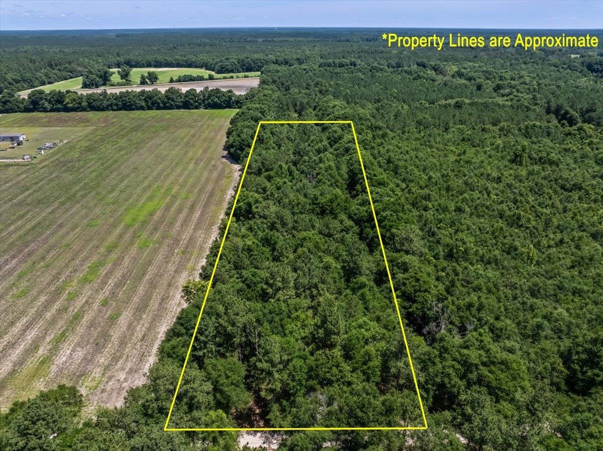 Tbd 5.3-acres Tbd 5.3-acres Springtown Road Bamberg, SC 29003 - Photo 7 of 11