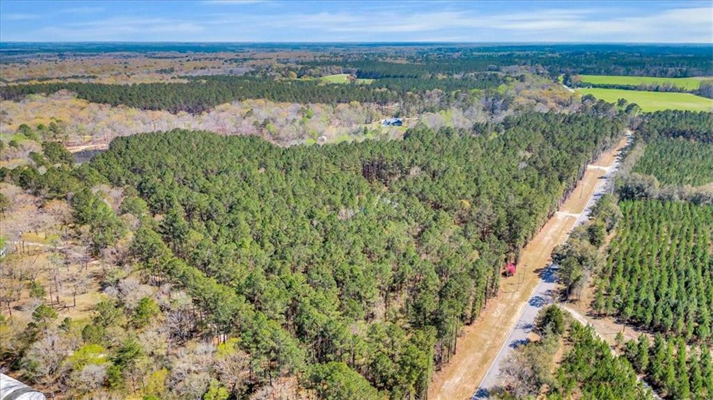 5200 Old River Road South Brooklet, GA 30415 - Photo 47 of 53