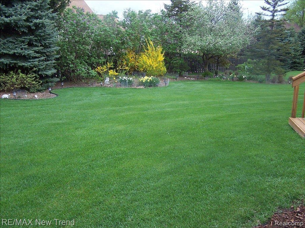 42199 Waterfall Road Northville, MI 48168 - Photo 16 of 17 BACK YARD VIEW
