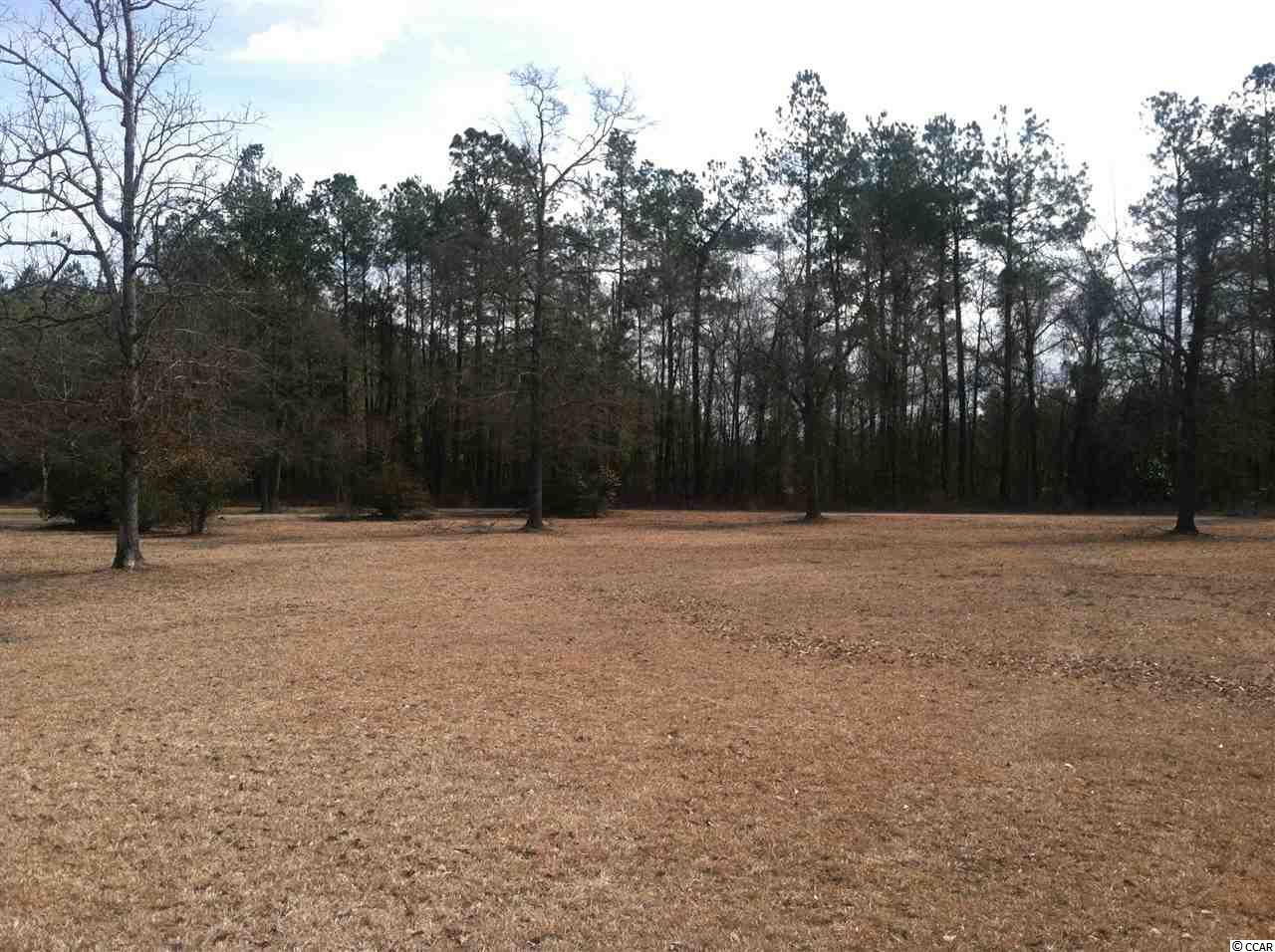 2397 Old Manning Road Scranton, SC 29591 - Photo 3 of 16