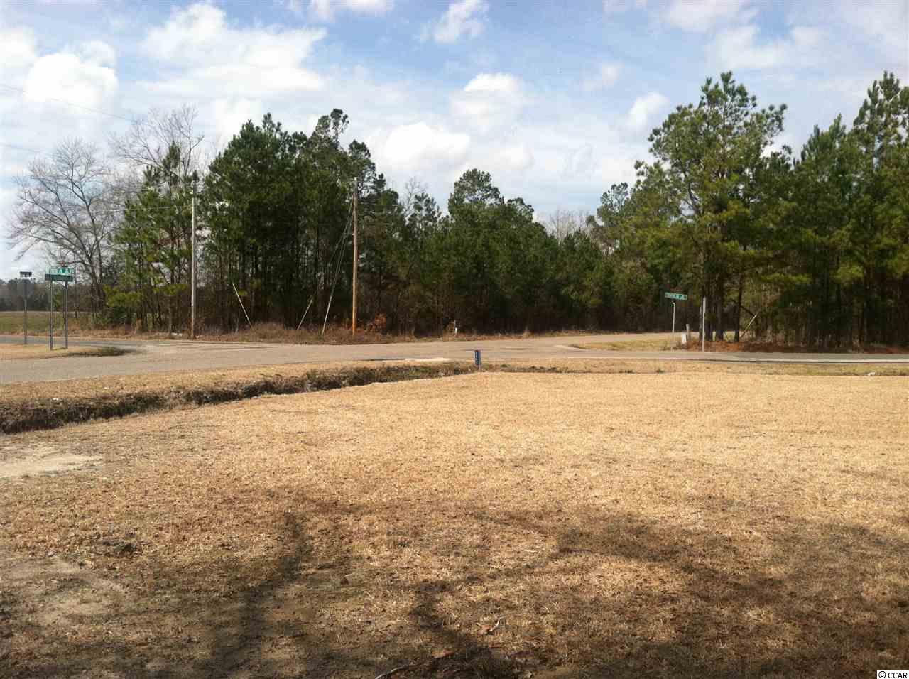 2397 Old Manning Road Scranton, SC 29591 - Photo 4 of 16