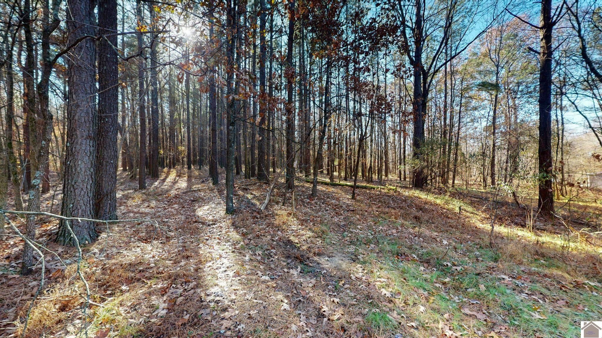 Protemus Road Murray, KY 42071 - Photo 12 of 15 Photo 12