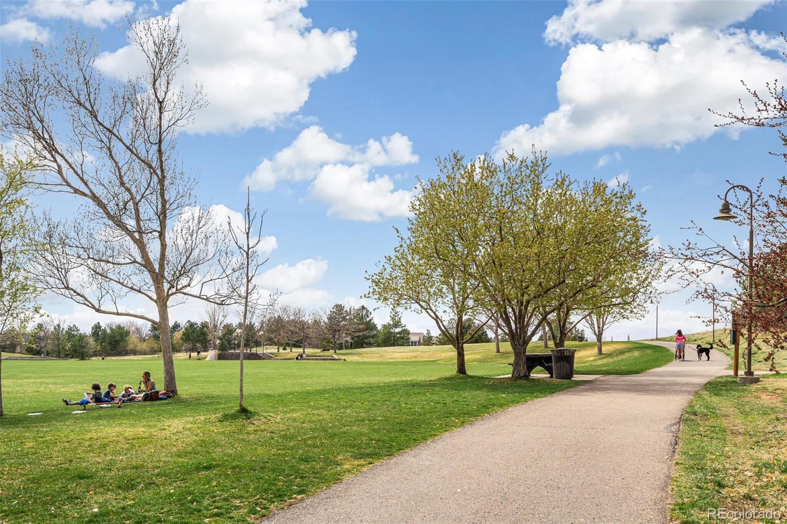 5943 South Olive Circle Centennial, CO 80111 - Photo 48 of 50