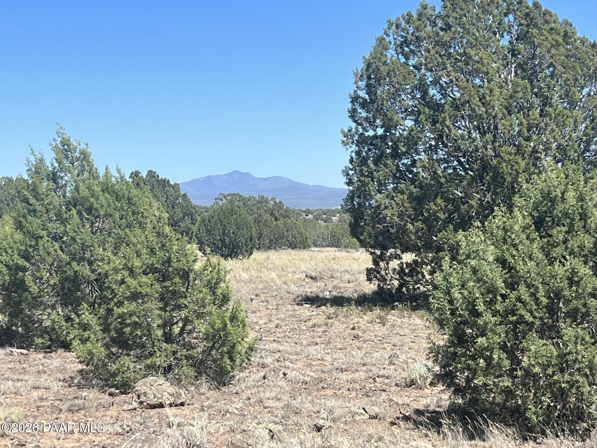 310 Un Named Road Ash Fork, AZ 86320 - Photo 6 of 7 a view of mountain view with large trees