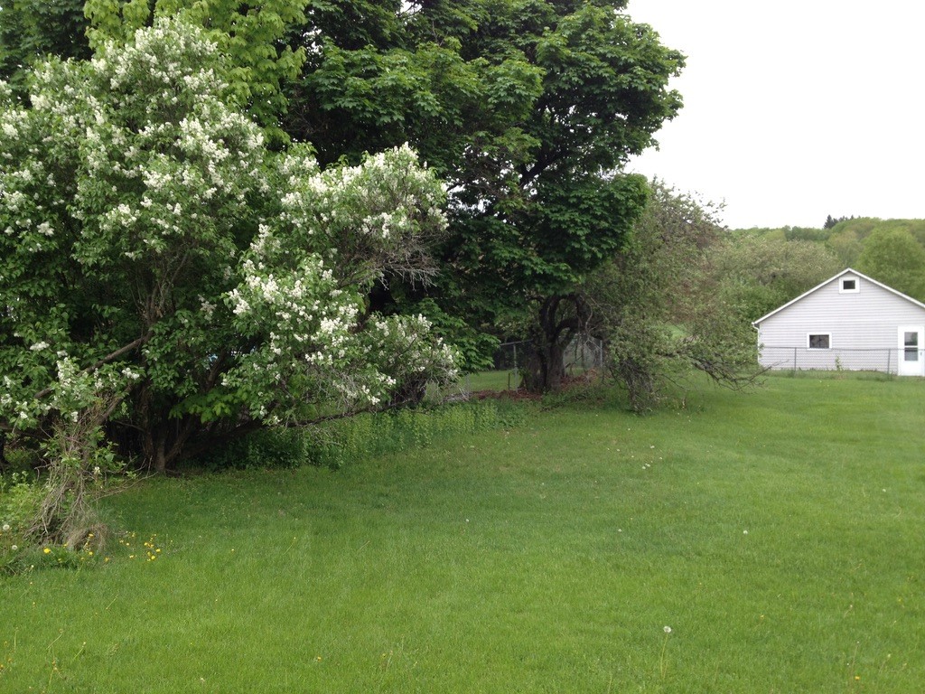 390 Lower Main Street Andes, NY 13731 - Photo 3 of 11