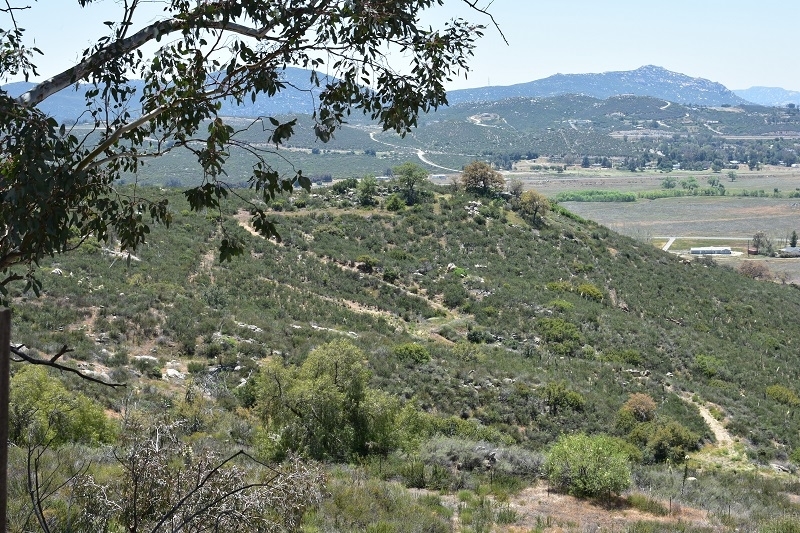 21485 Viejas Grade Road Alpine, CA 91901 - Photo 13 of 15