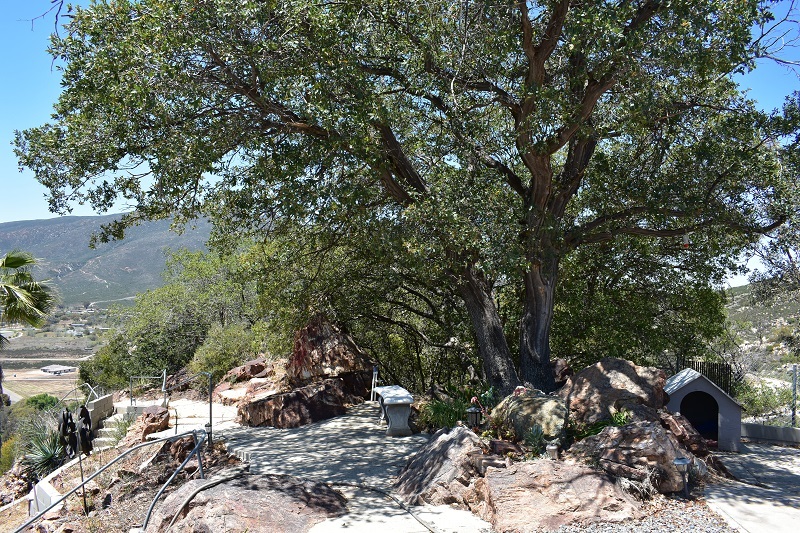21485 Viejas Grade Road Alpine, CA 91901 - Photo 10 of 15