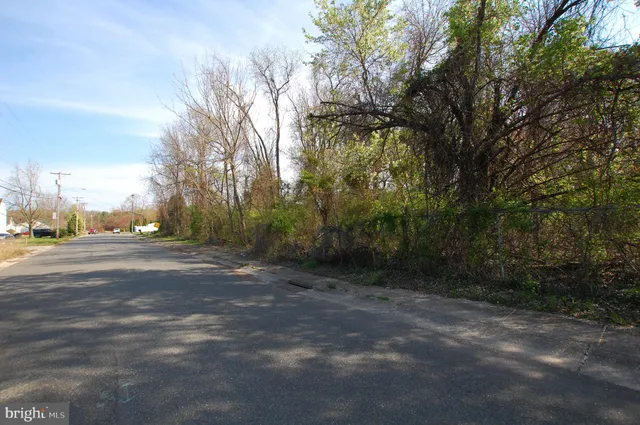 a view of a yard with a tree