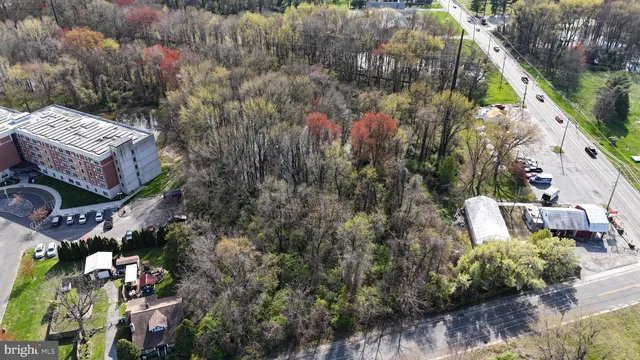 a view of a garden with plants and flowers