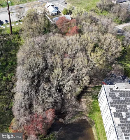 a view of a yard with plants