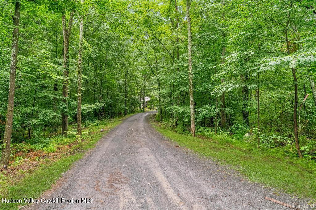 182 Redder Road Pine Bush, NY 12566 - Photo 4 of 27 private driveway