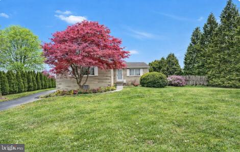 a small garden covered with tall trees