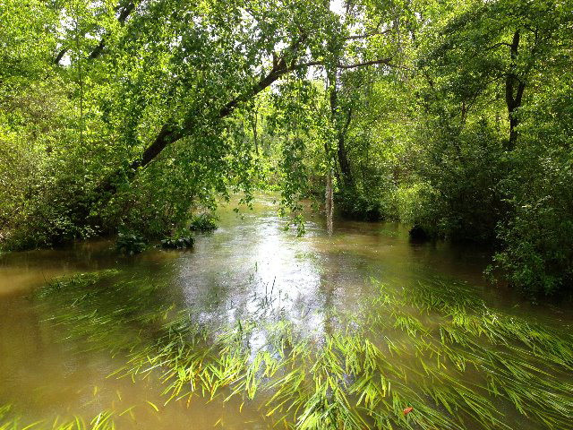 Tract B Township Road Aiken, SC 29803 - Photo 2 of 19