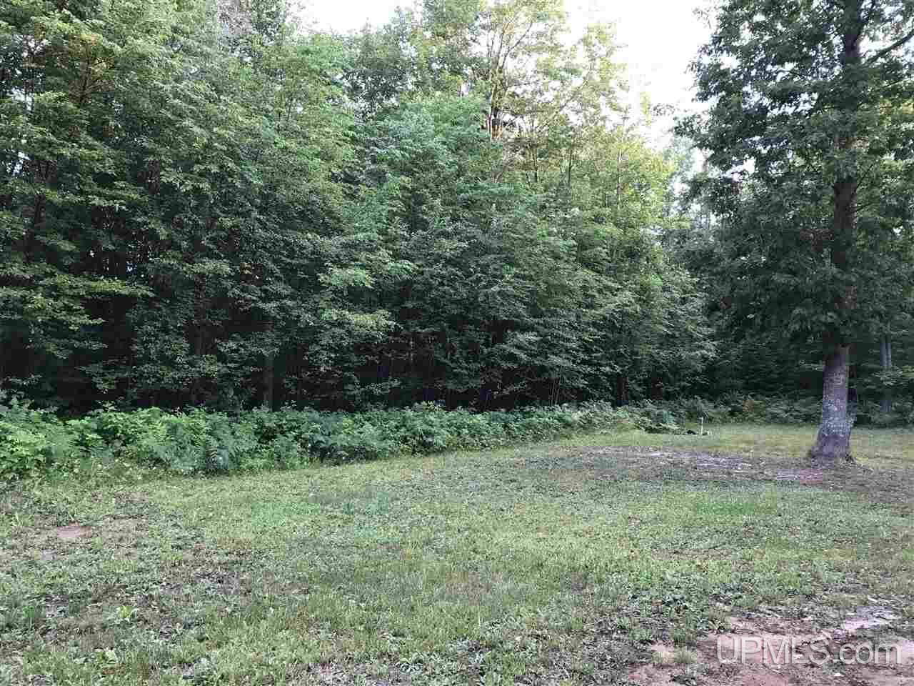 56465 Traprock Valley Road Calumet, MI 49913 - Photo 4 of 20