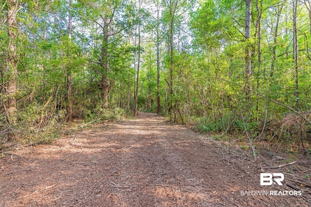 11100 Kali Oka Road Eight Mile, AL 36613 - Photo 28 of 49