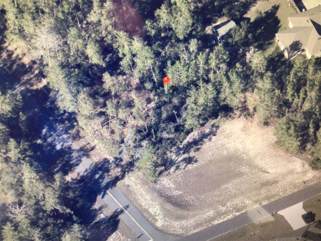 25 Southwest Sw Court Ocala, FL 34473 - Photo 5 of 5