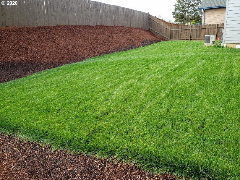 199 Northeast Plum Ridge Drive Winston, OR 97496 - Photo 27 of 31 Gallery Image 27