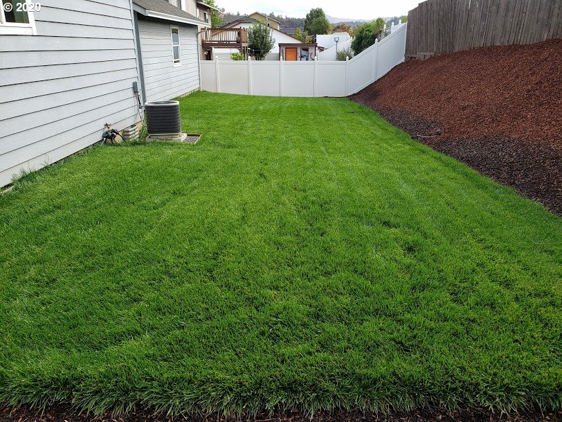 199 Northeast Plum Ridge Drive Winston, OR 97496 - Photo 29 of 31 Gallery Image 29