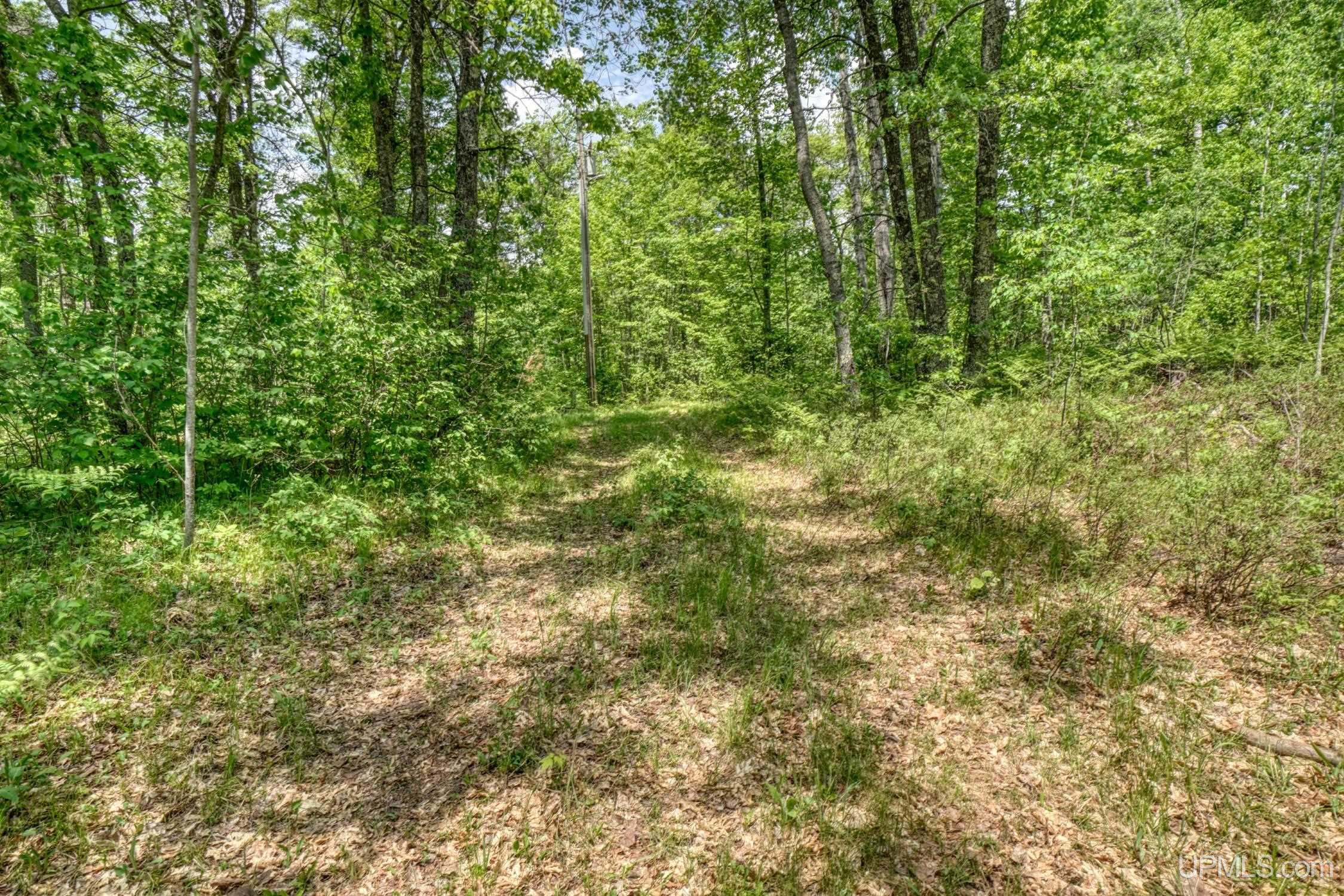 1972 Gristmill Road Homestead, WI 54121 - Photo 45 of 48
