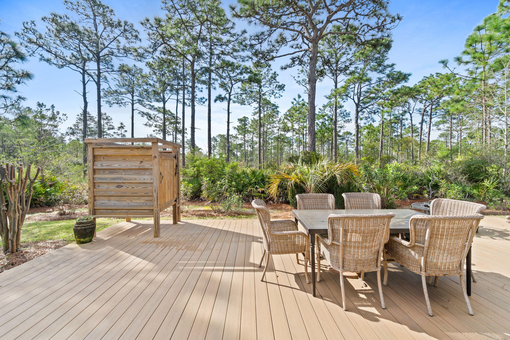 40 Grand Flora Way Santa Rosa Beach, FL 32459 - Photo 48 of 61 Backyard