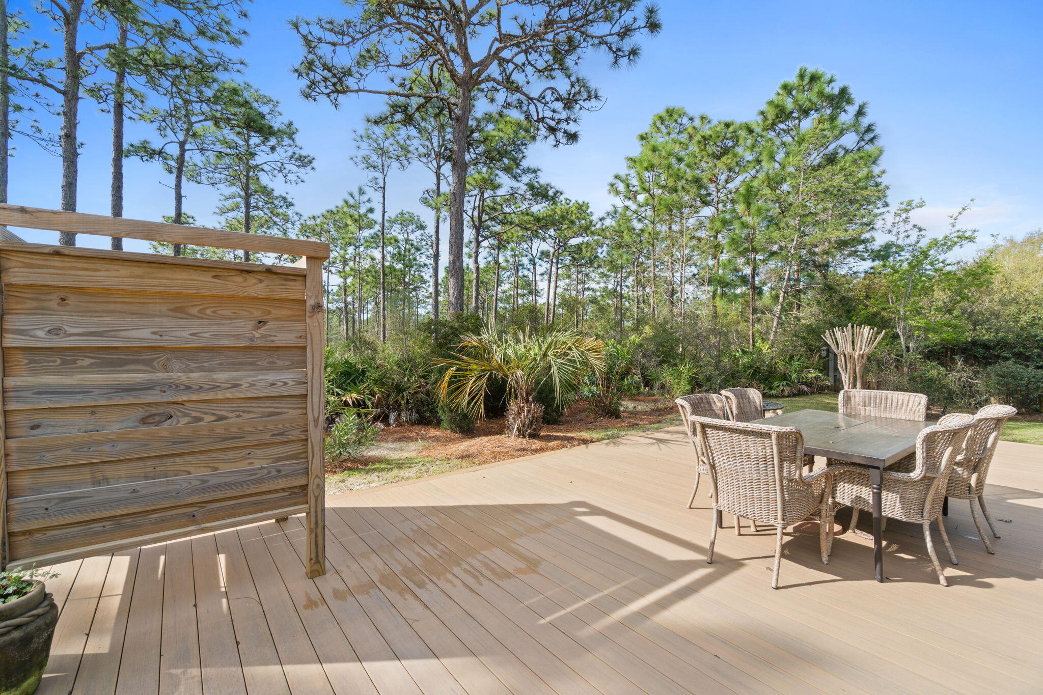 40 Grand Flora Way Santa Rosa Beach, FL 32459 - Photo 49 of 61 Backyard