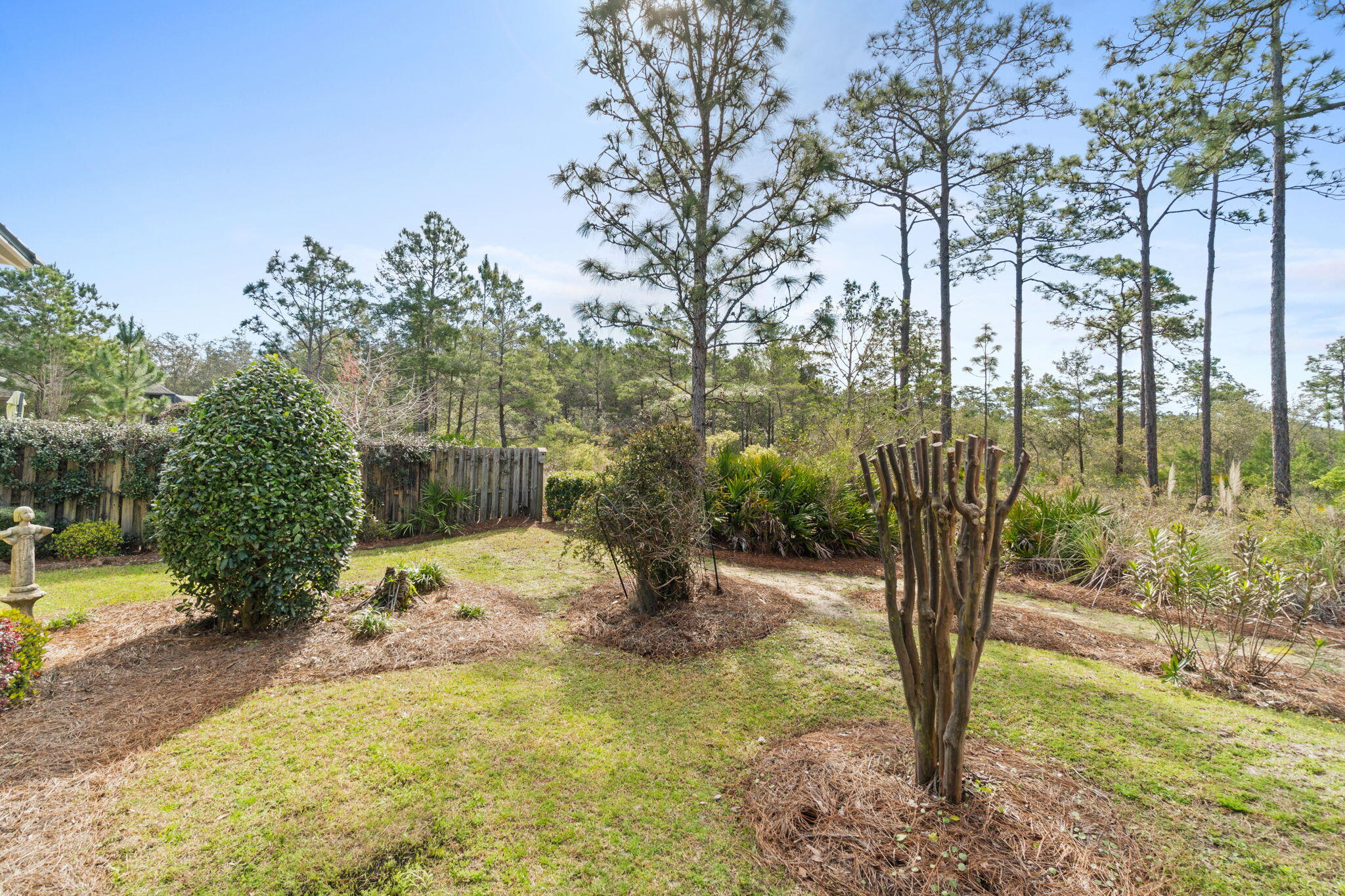 40 Grand Flora Way Santa Rosa Beach, FL 32459 - Photo 51 of 61 Backyard