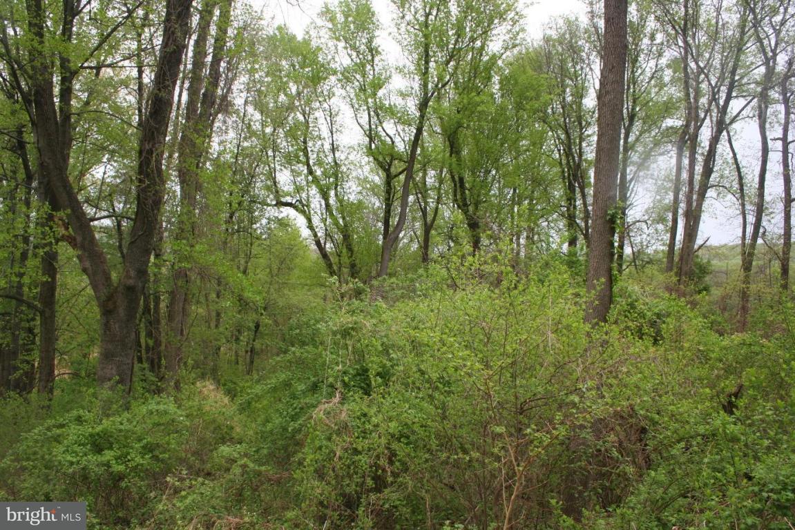 3916 Kutztown Road Reading, PA 19605 - Photo 11 of 11