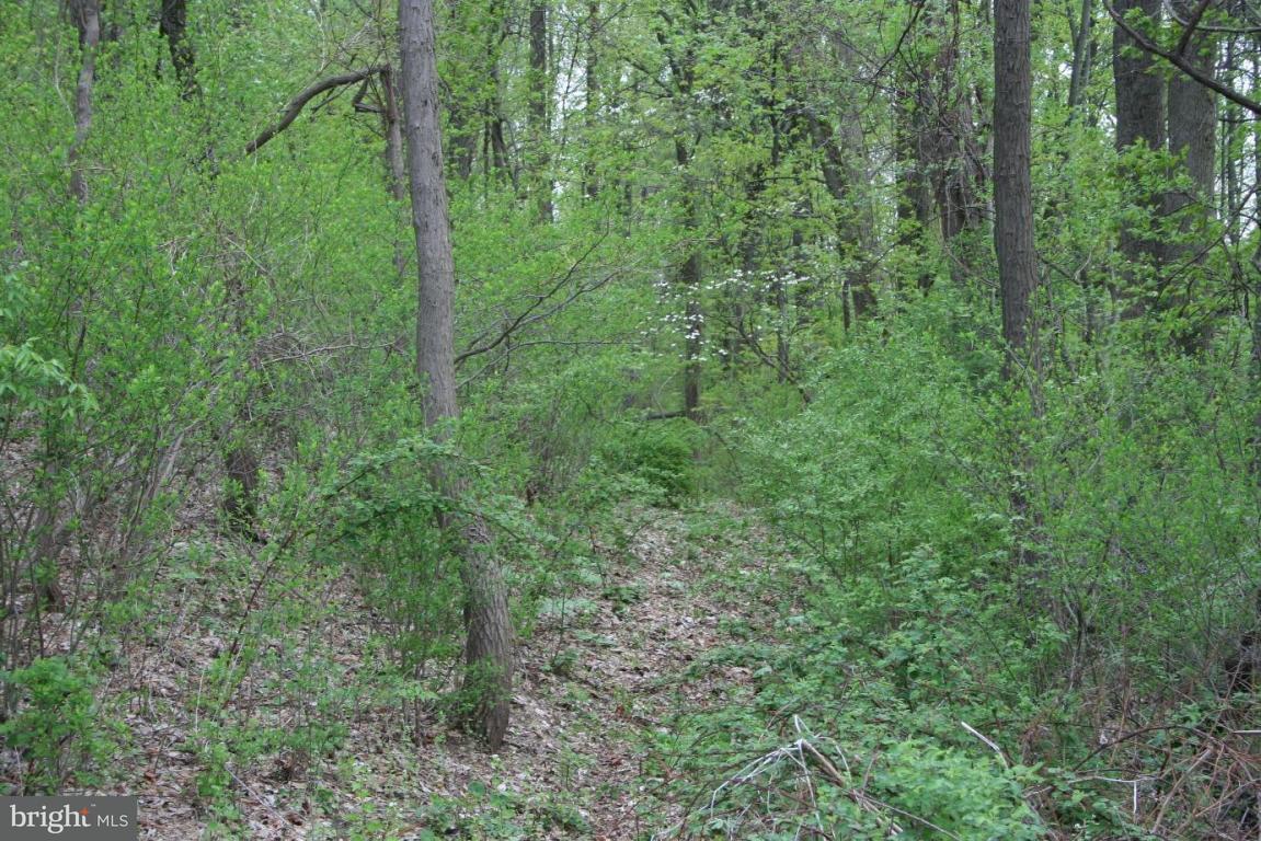 3916 Kutztown Road Reading, PA 19605 - Photo 6 of 11