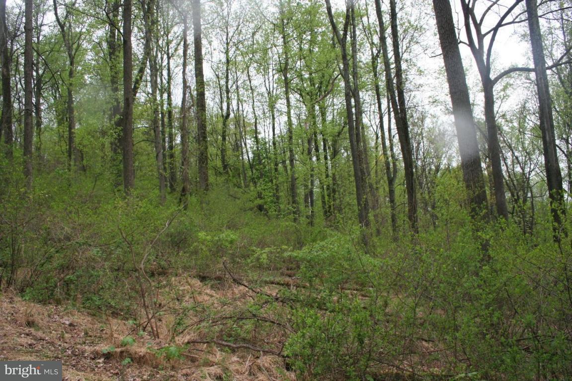 3916 Kutztown Road Reading, PA 19605 - Photo 8 of 11