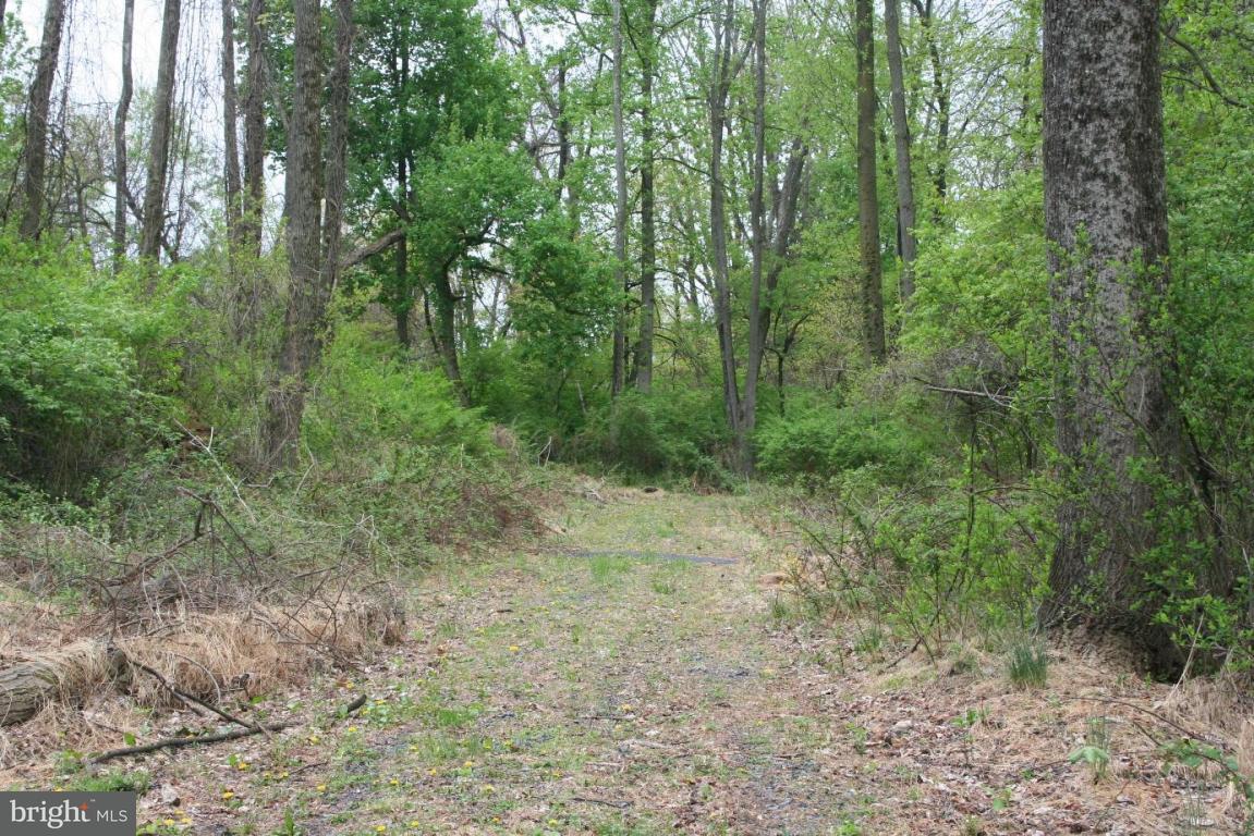 3916 Kutztown Road Reading, PA 19605 - Photo 9 of 11