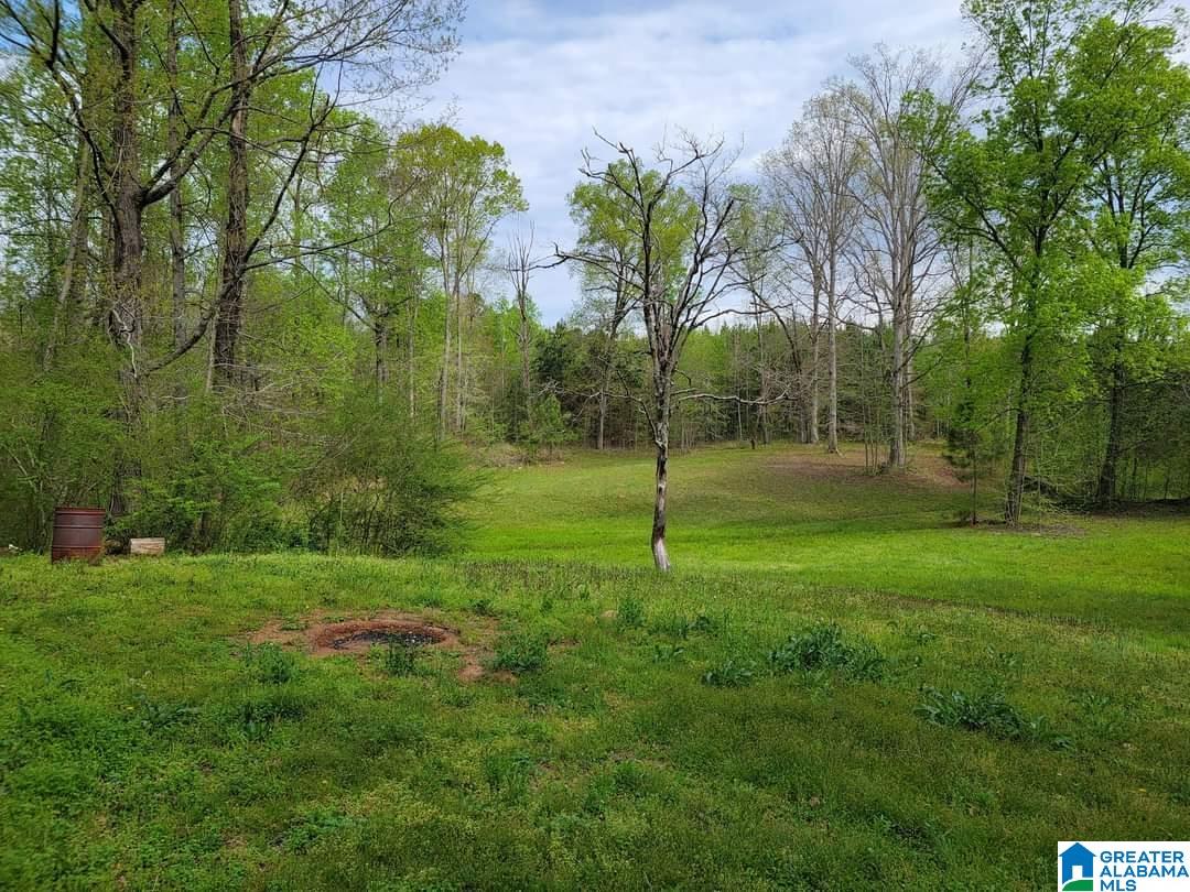 1825 Deans Ferry Road Hayden, AL 35079 - Photo 2 of 2