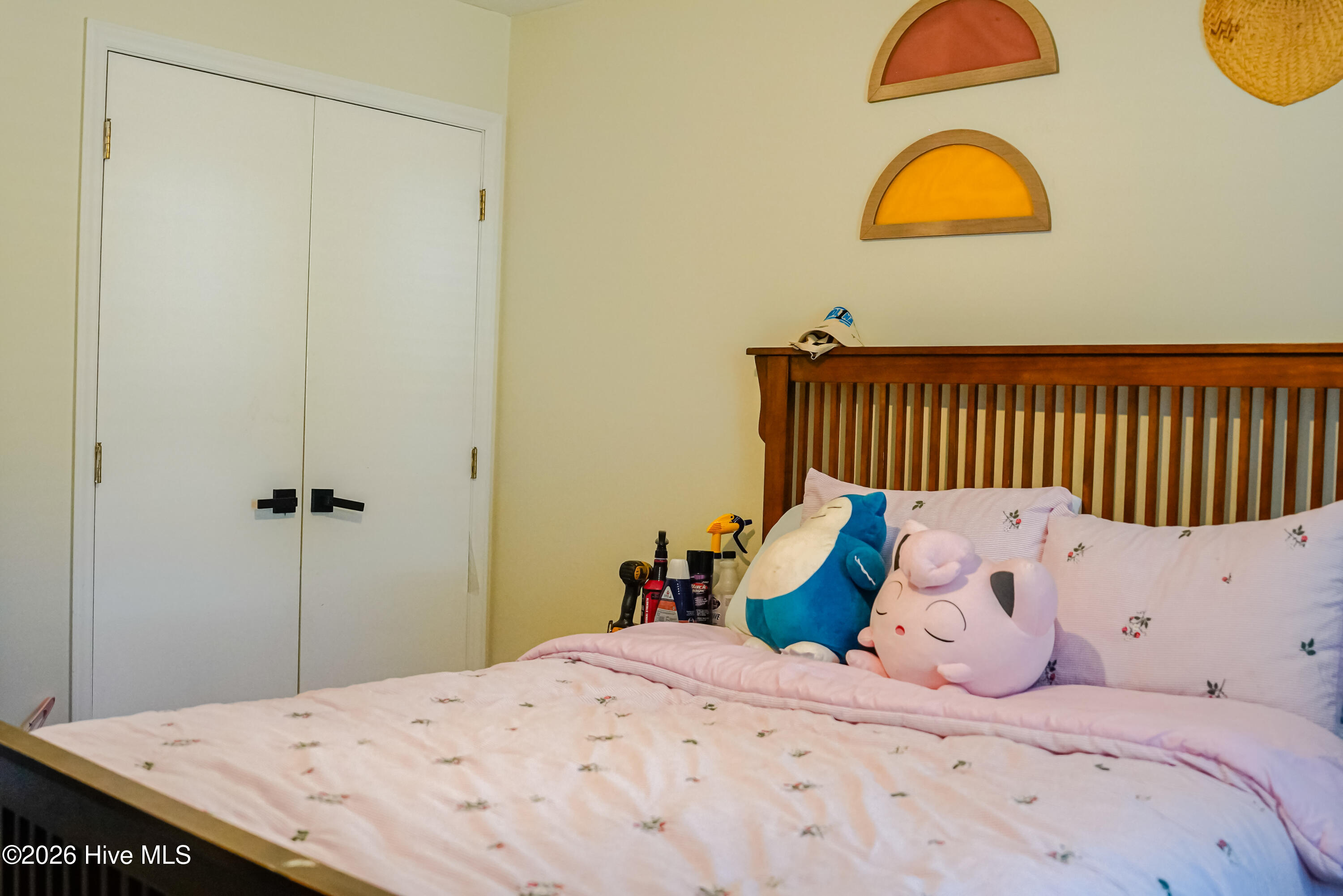 619 Devon Place Zebulon, NC 27597 - Photo 13 of 19 guest bedroom