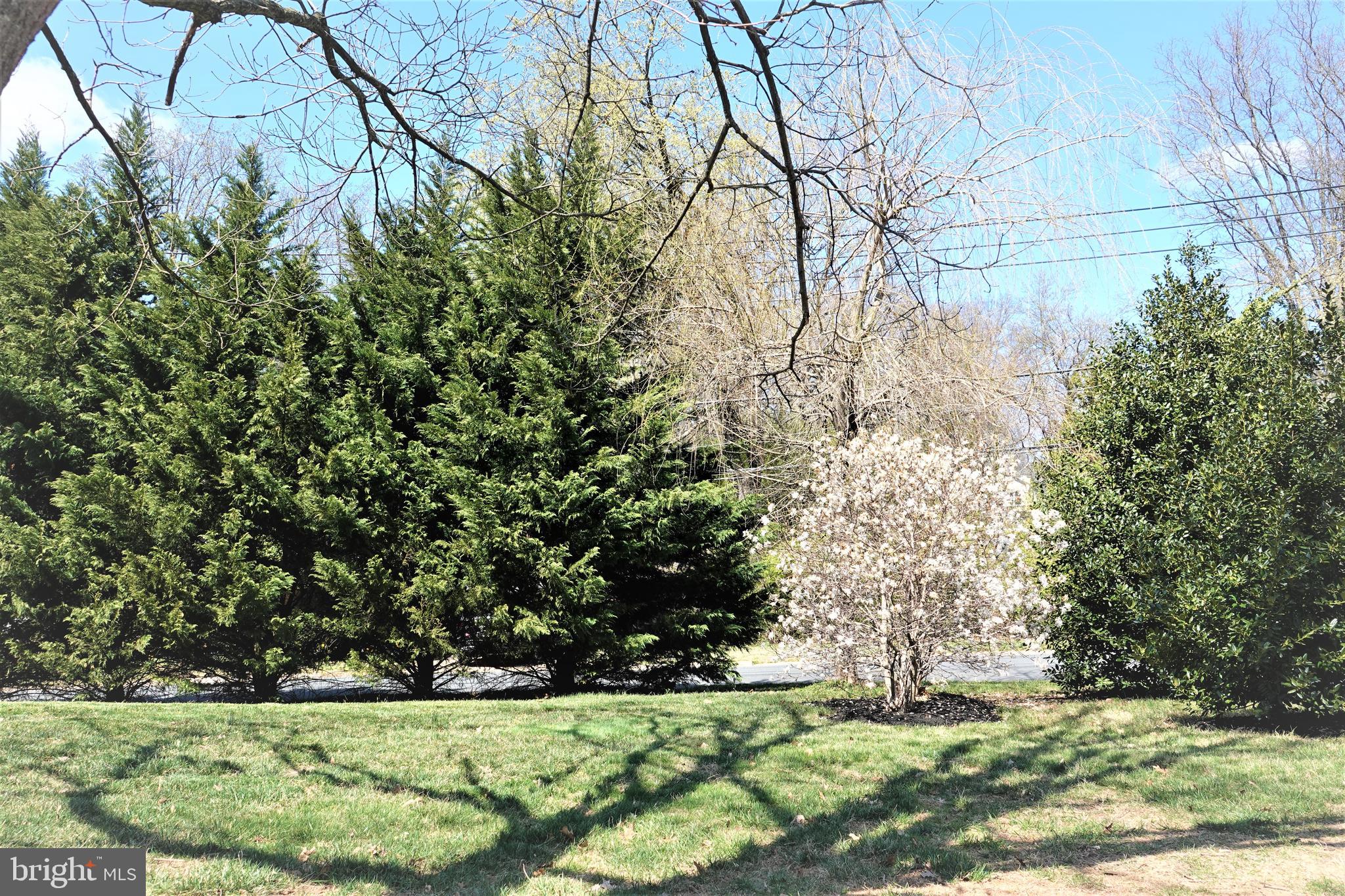 6606 Pyle Road Bethesda, MD 20817 - Photo 28 of 29 a view of a yard