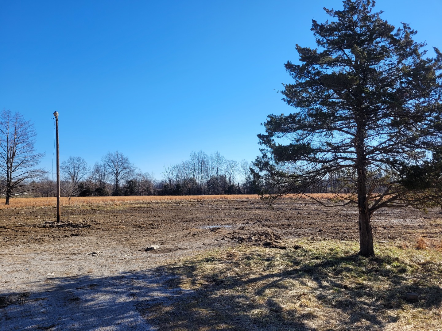 7748 Highway 148 Mount Vernon, IL 62864 - Photo 11 of 16