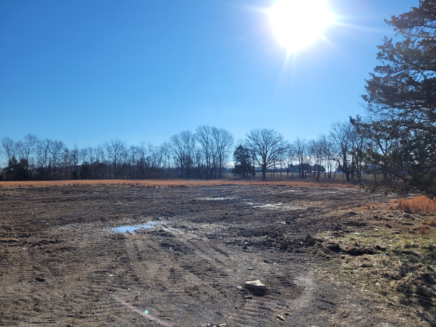 7748 Highway 148 Mount Vernon, IL 62864 - Photo 13 of 16
