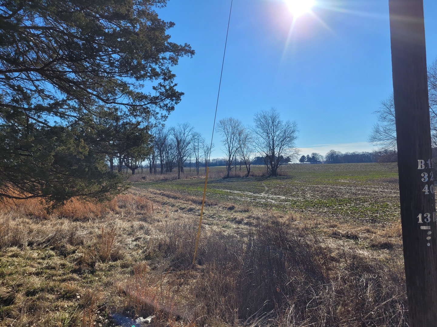 7748 Highway 148 Mount Vernon, IL 62864 - Photo 14 of 16